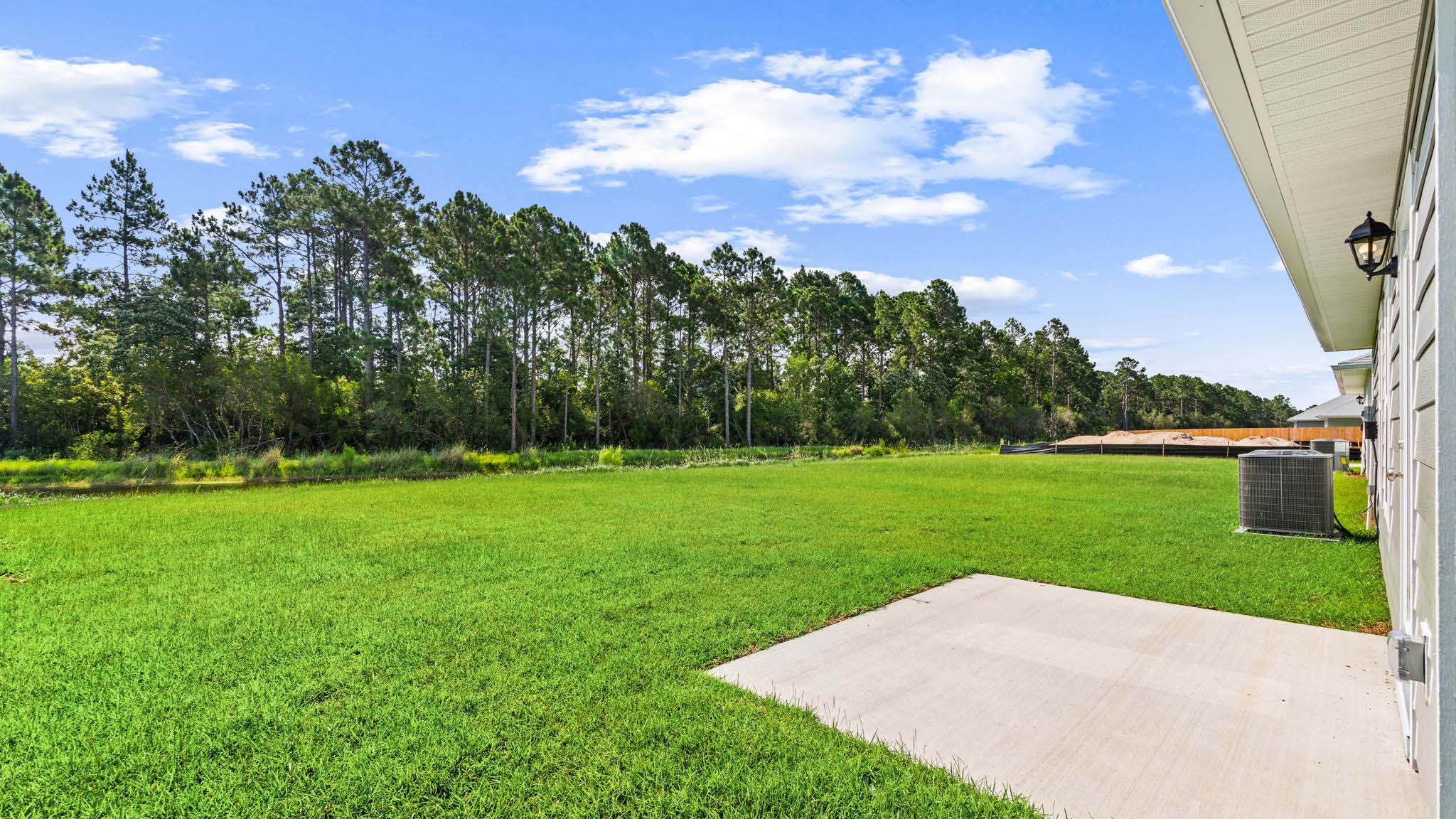 Back yard view.