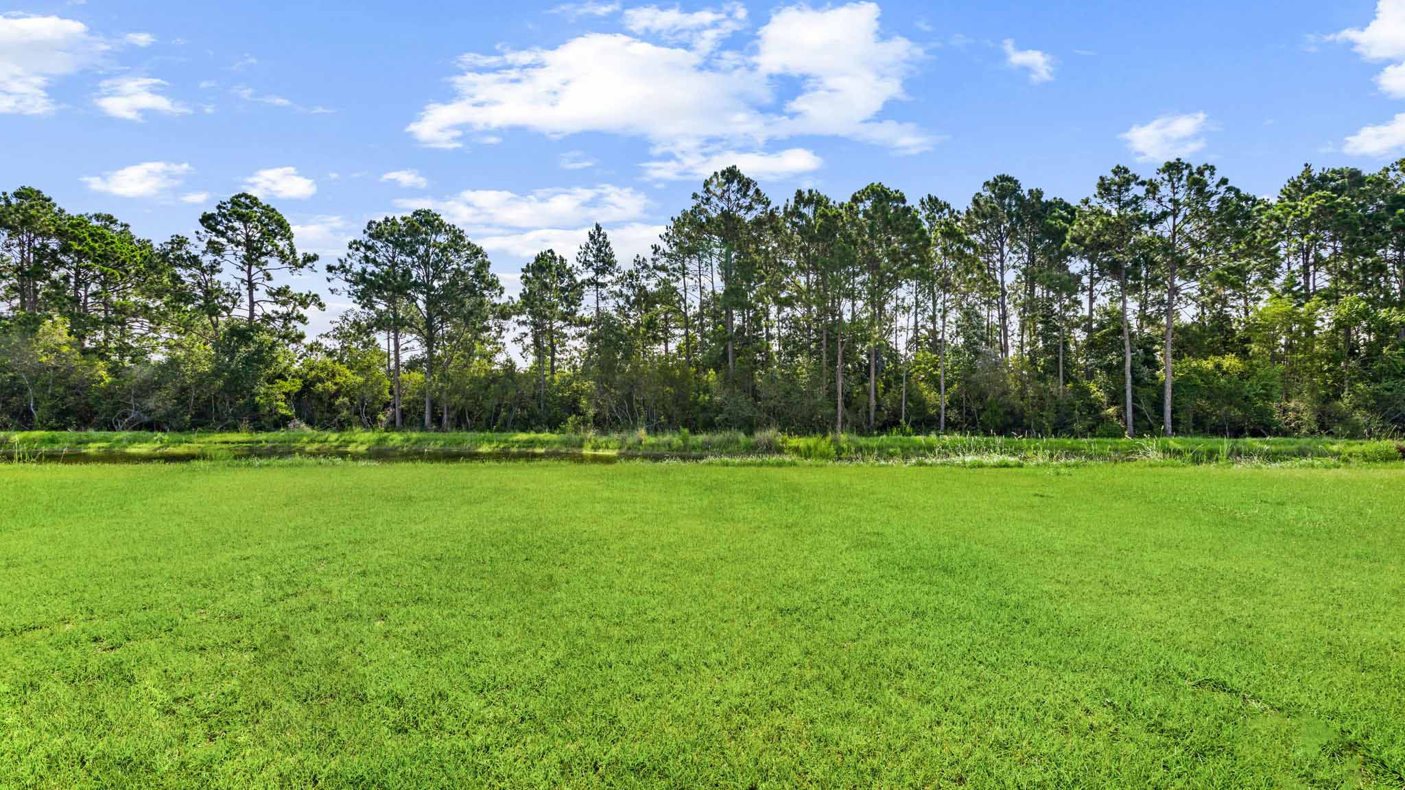 Back yard view.