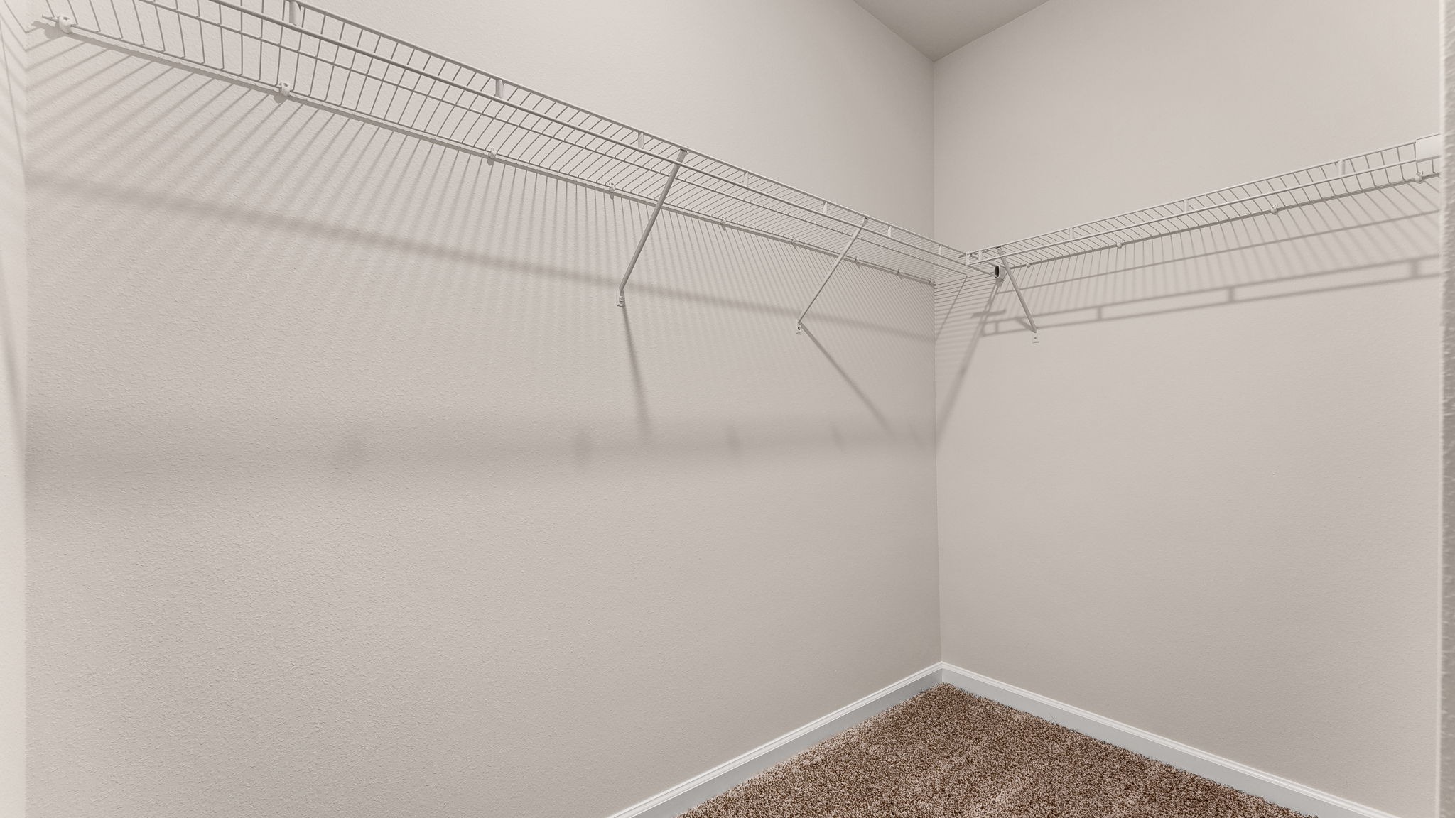 Walk in closet with carpet flooring and ventilated shelving.