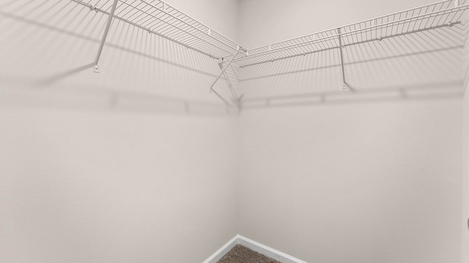 Primary bedroom closet with carpet flooring and shelving.