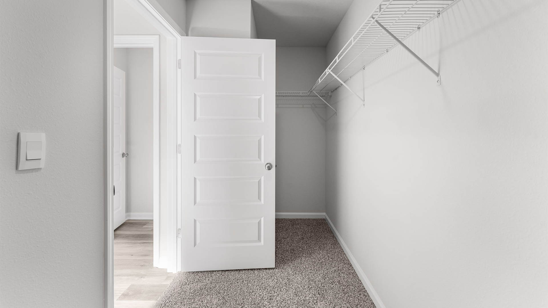 Walk-in closet with ventilated shelving and carpet floors.