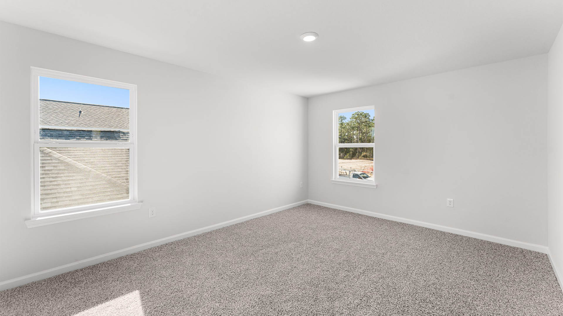 Primary bedroom with carpet floor and two windows.