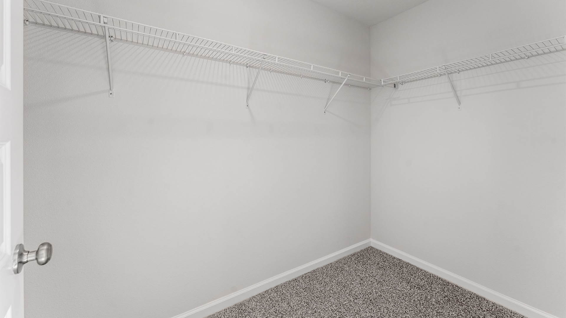 Walk-in closet with ventilated shelving and carpet floors.