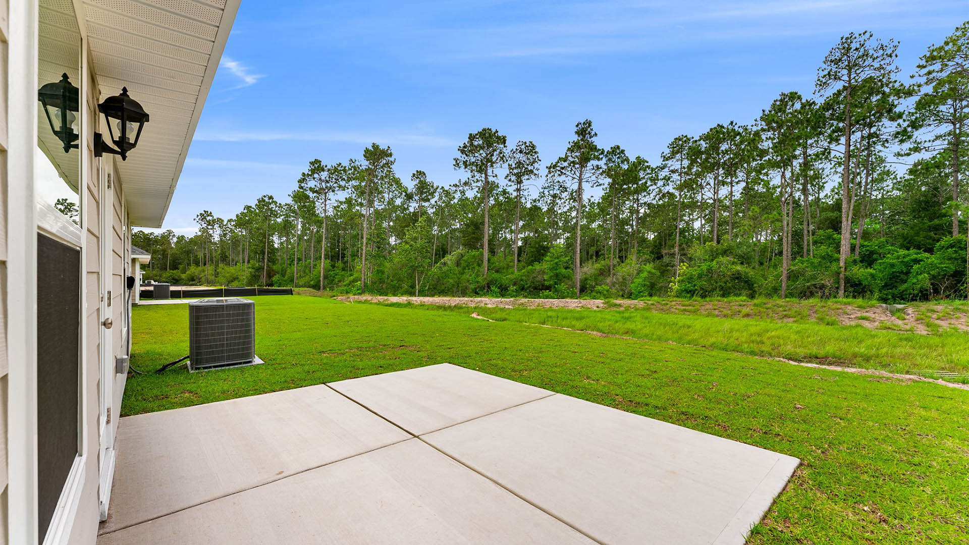 Back yard view.