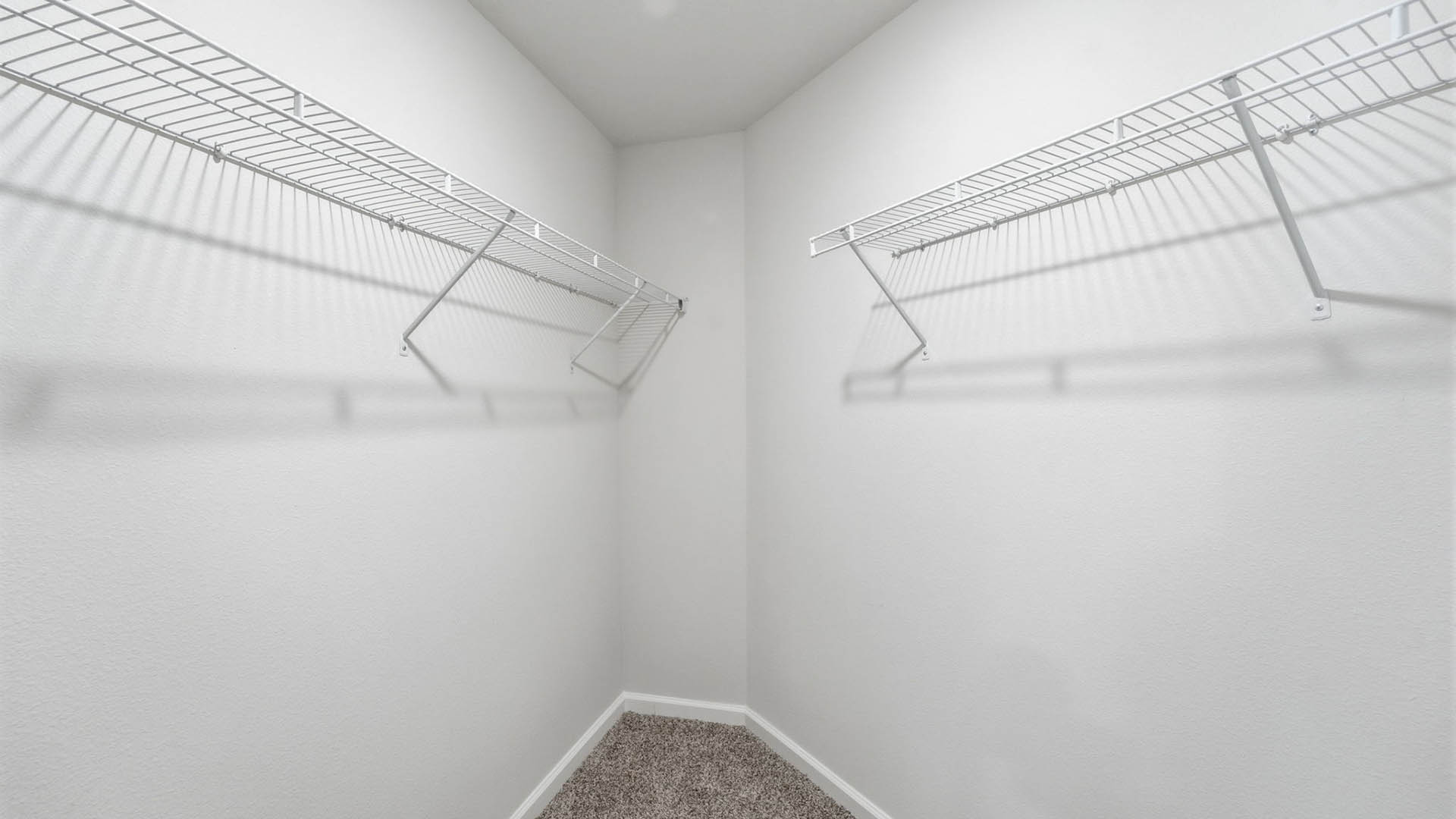Primary bedroom closet with carpet floors and ventilated shelving.