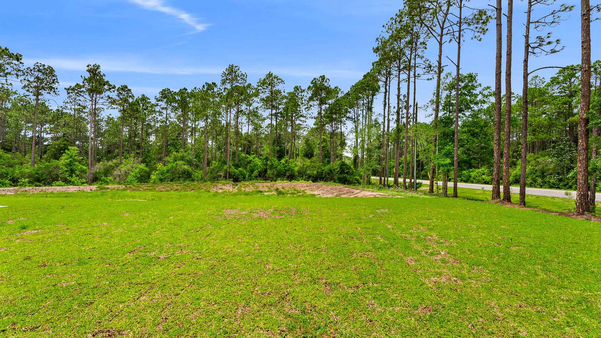 Back yard view.
