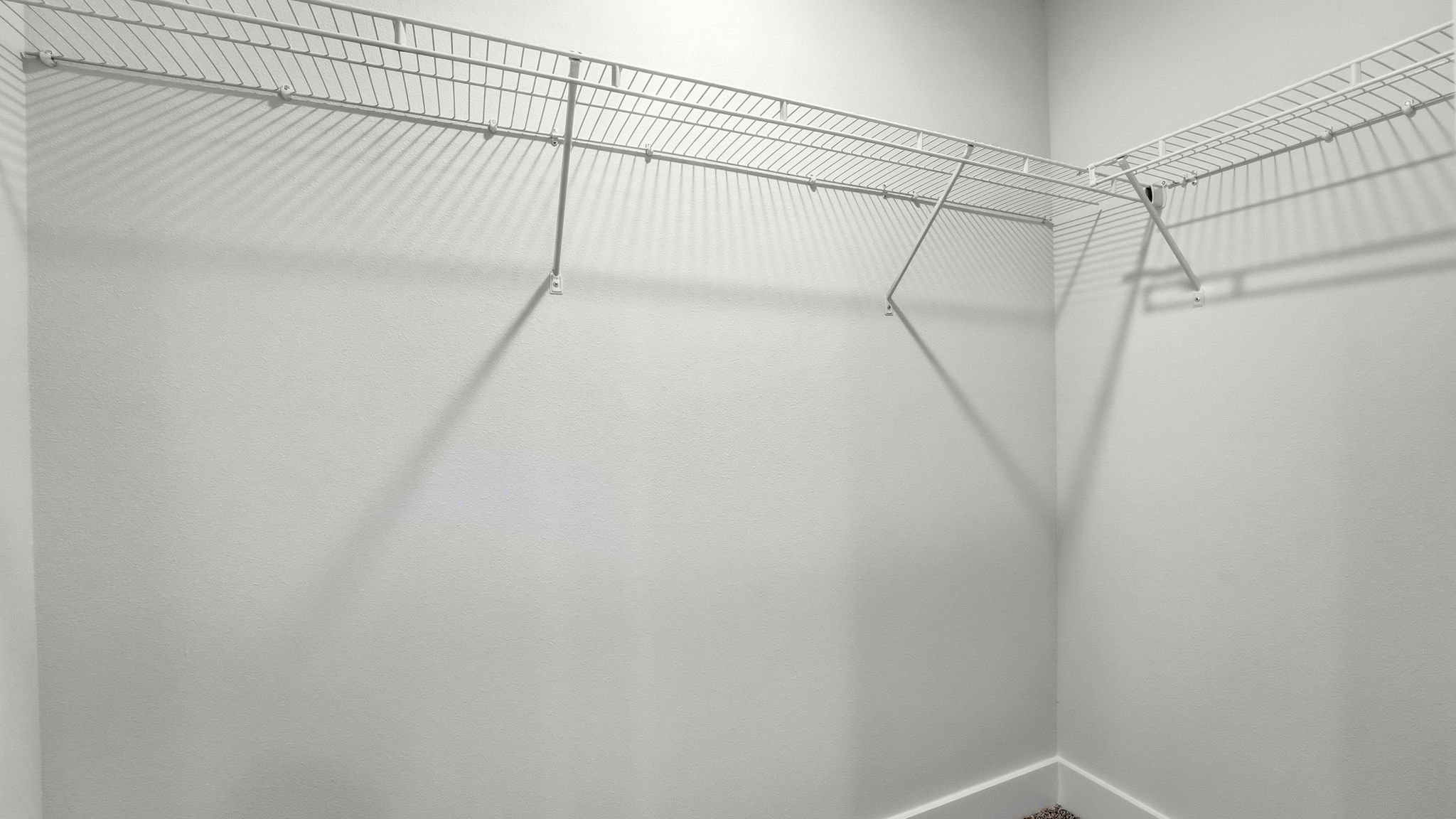 Primary bathroom closet with carpet floor and ventilated shelving.