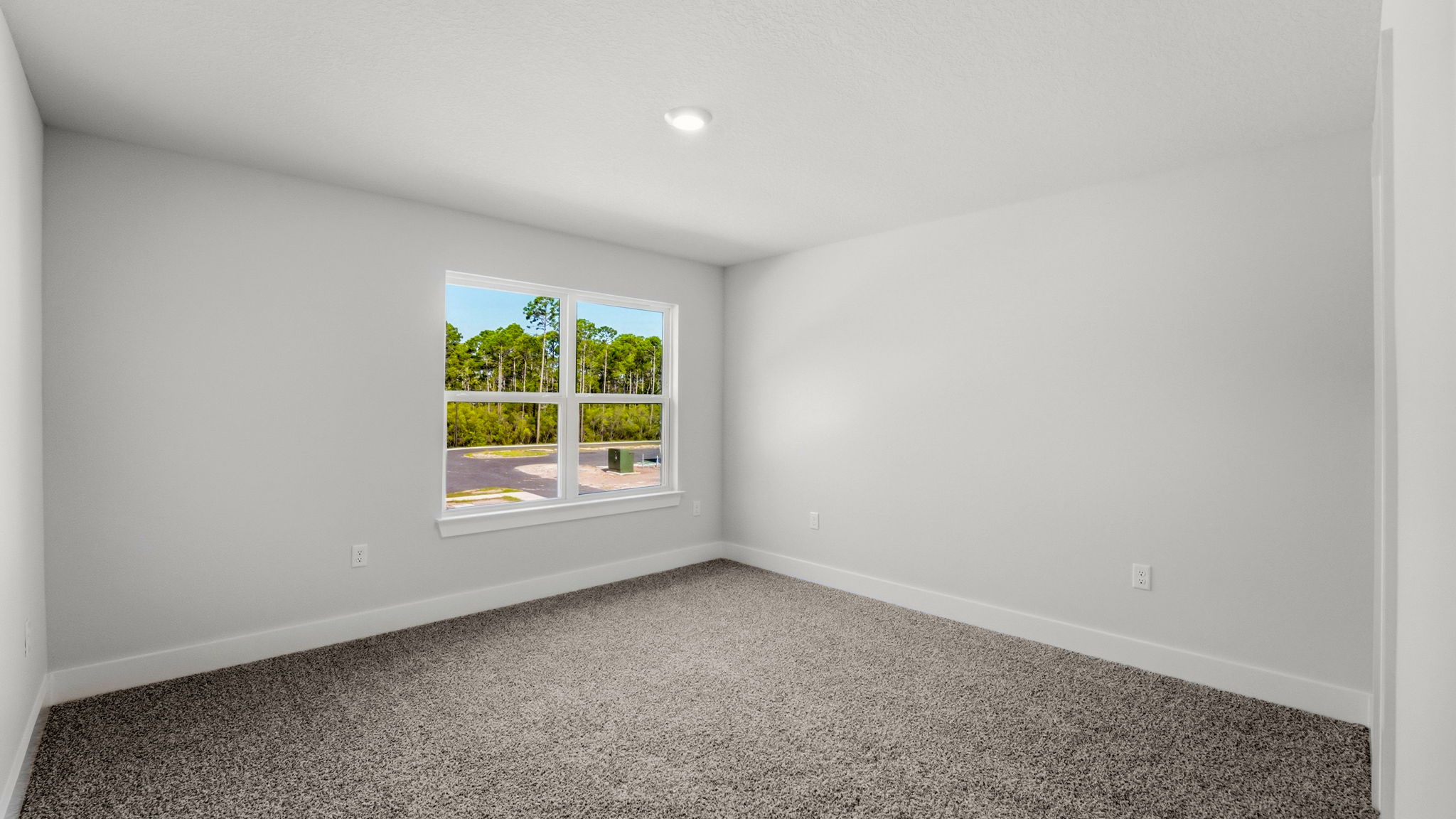 Primary bedroom with carpet flooring and two windows.