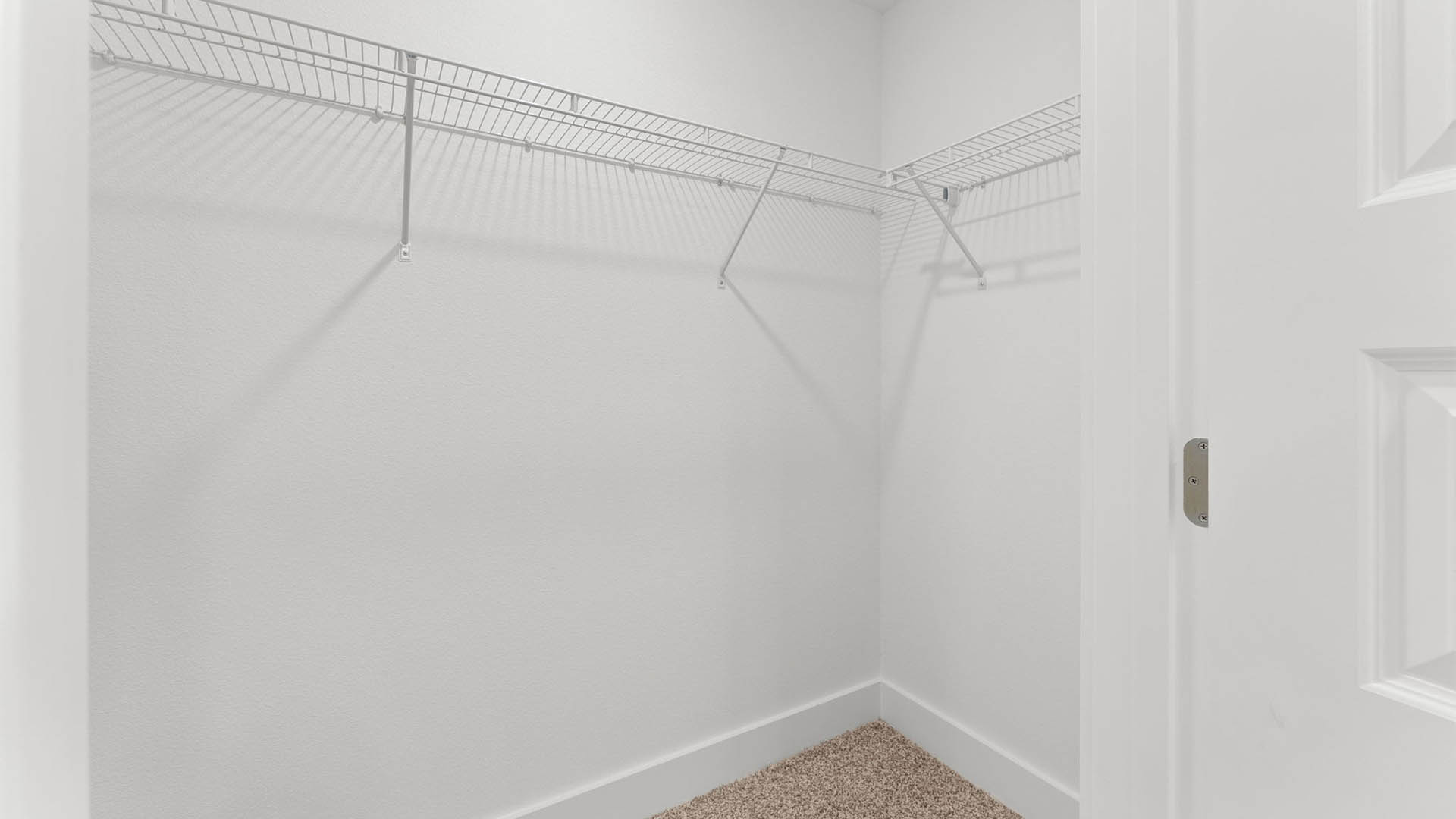 Primary bathroom closet with carpet floor and ventilated shelving.