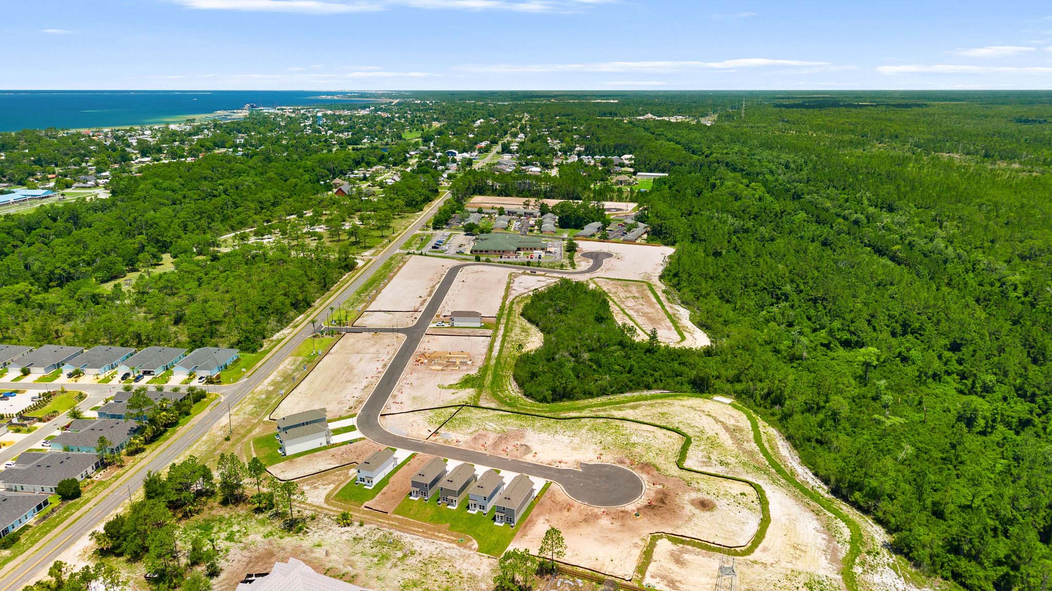 Aerial photo of community.
