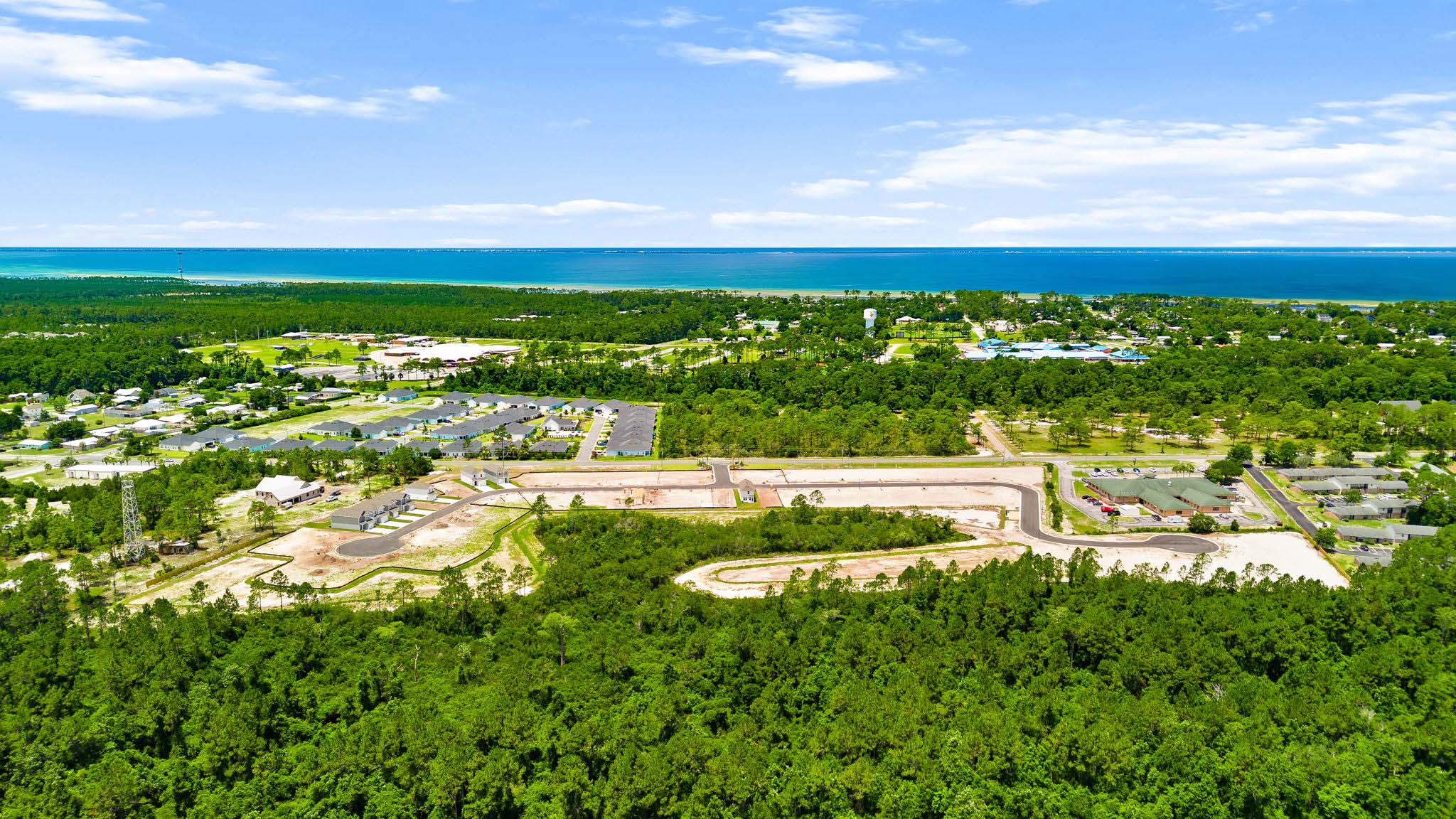 Aerial photo of community.
