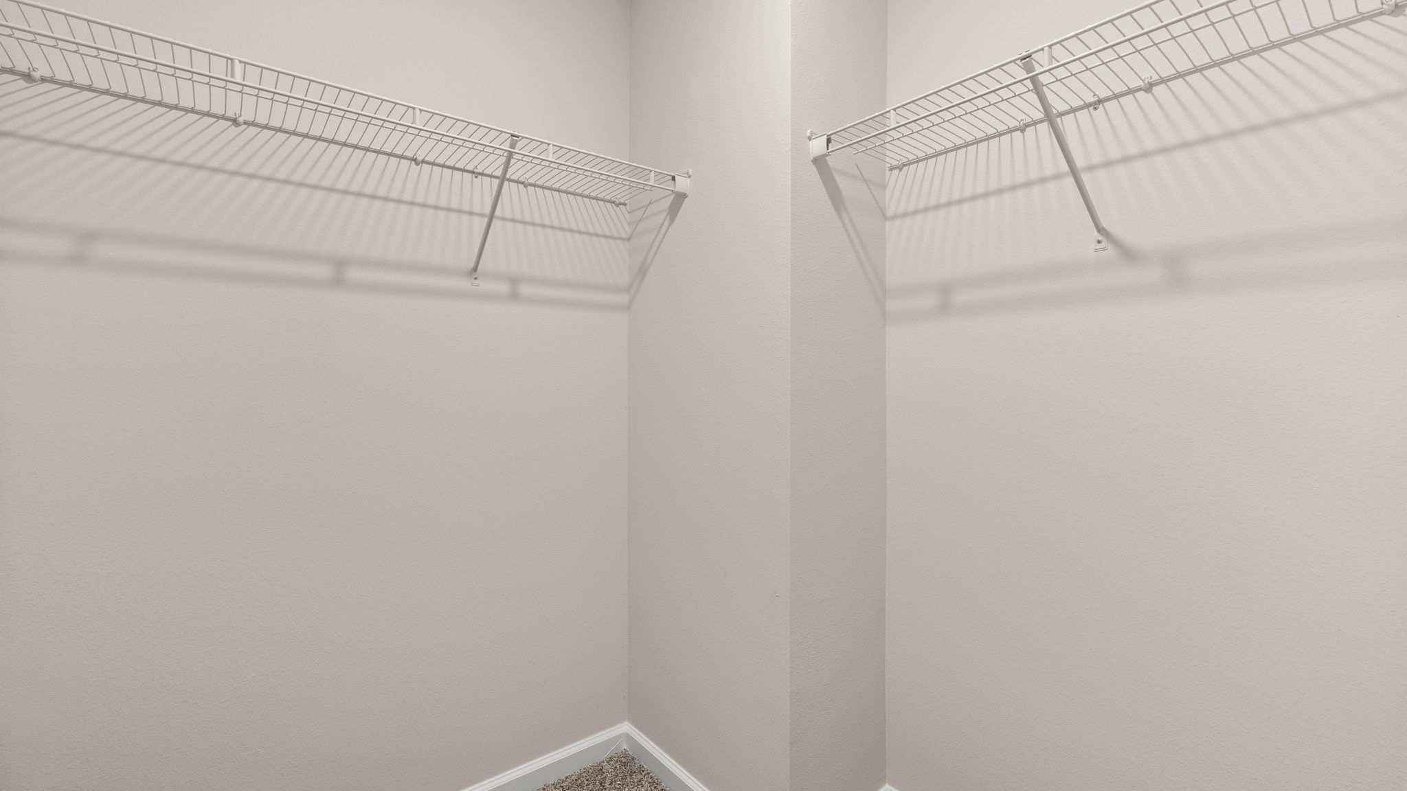 Primary bathroom closet with carpet floor and shelving.