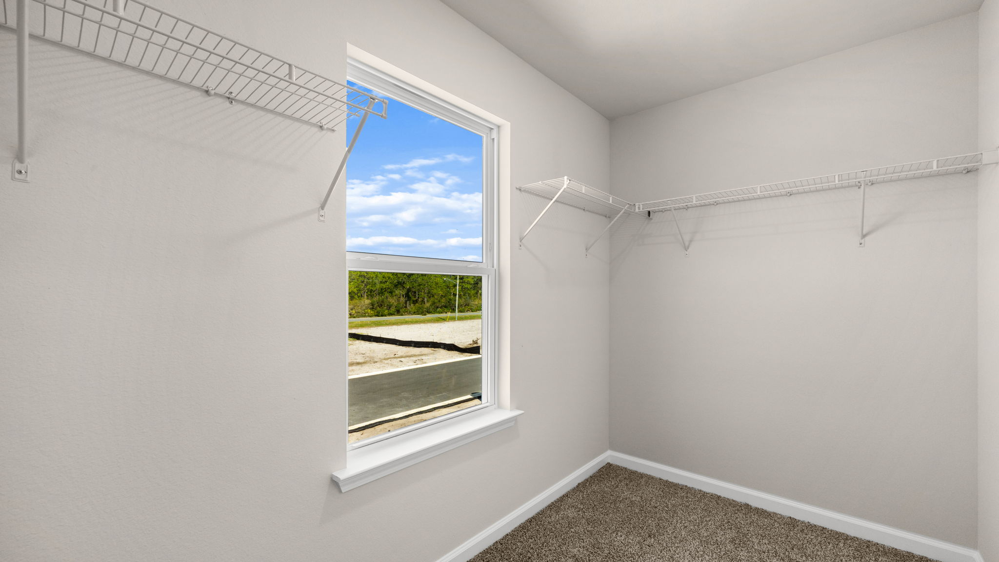 Primary bathroom closet with carpet flooring and shelving and window.
