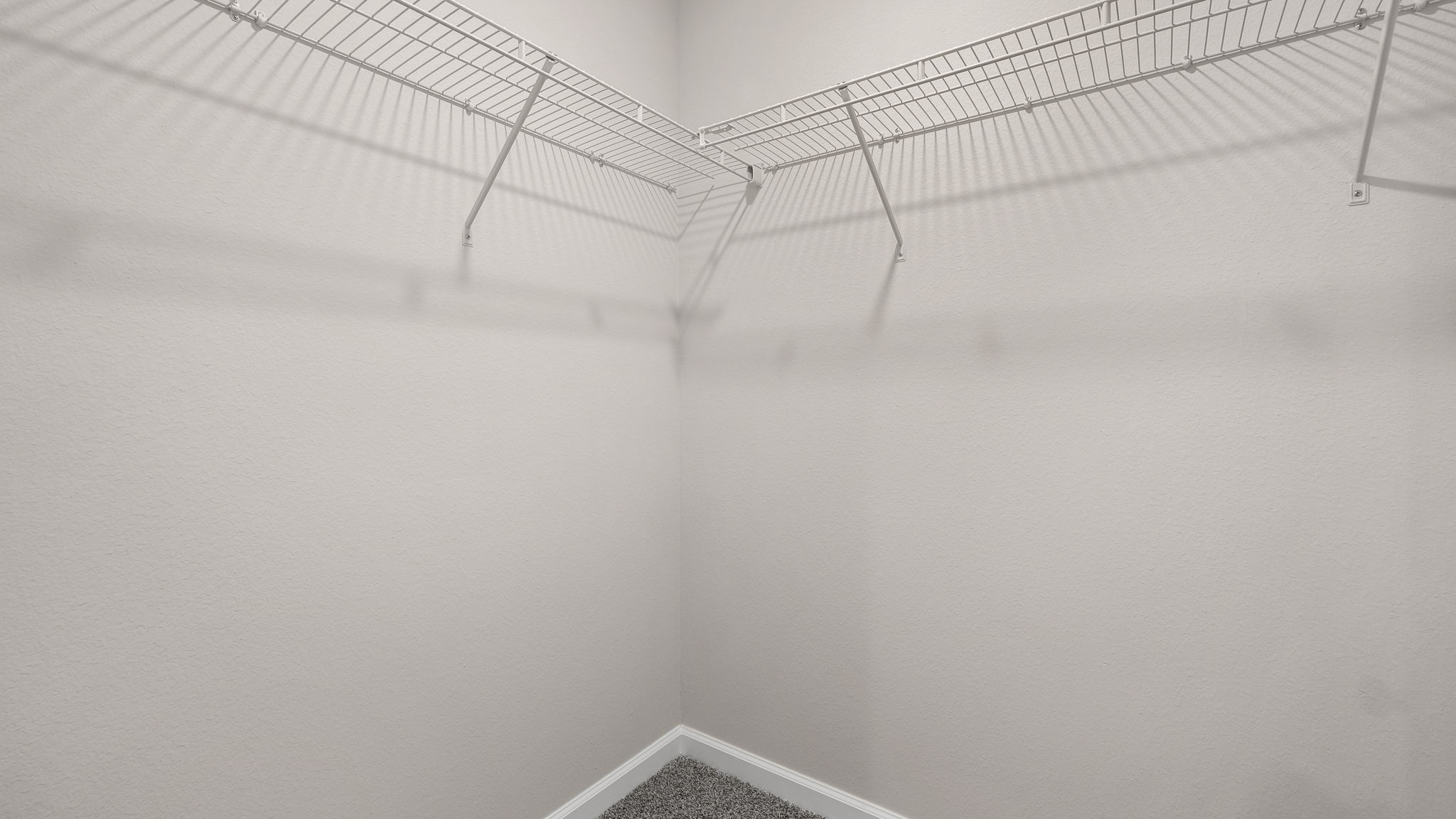 Primary bathroom closet with carpet floor and shelving.