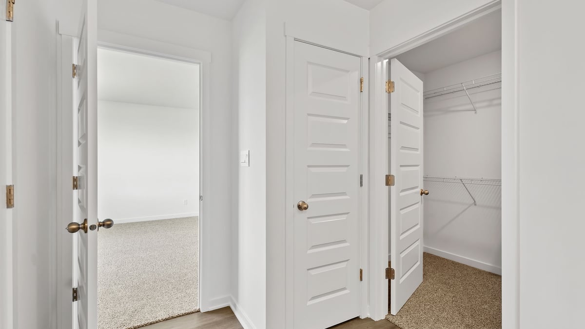 Walk-in closet and space.