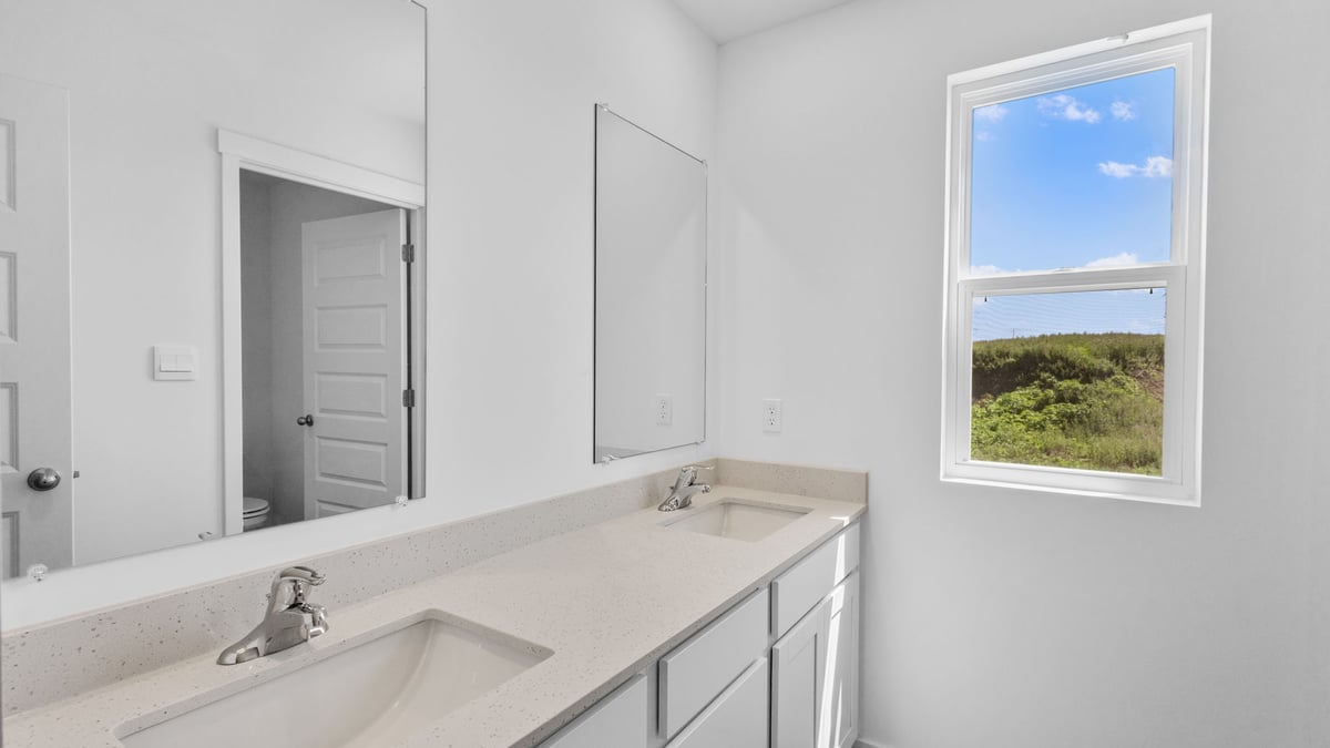 Dual vanity sinks with a shower and one window.