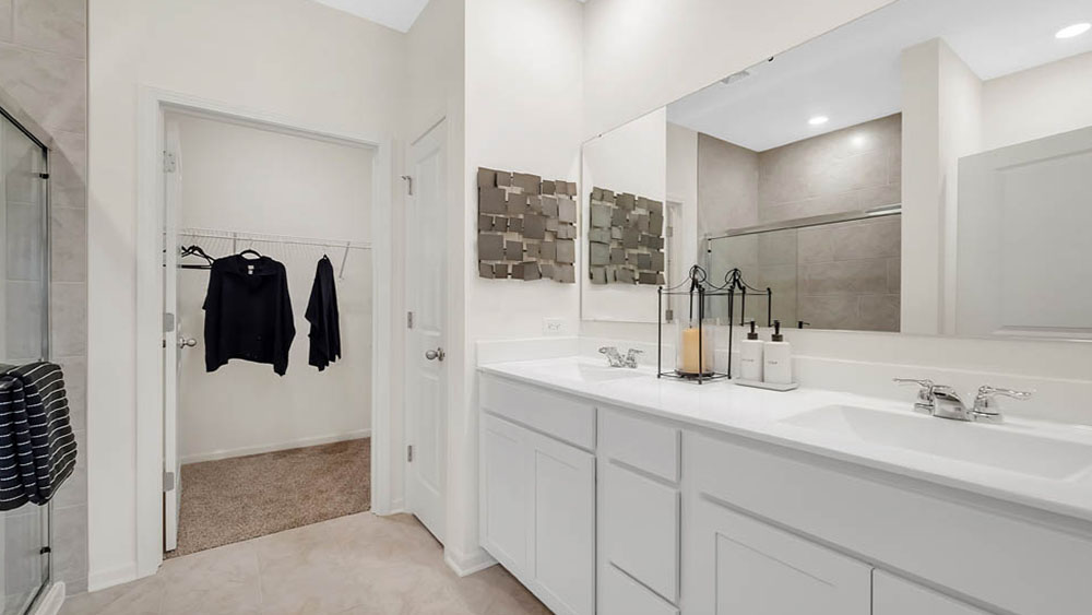 en suite with double bowl vanity and walk-in closet