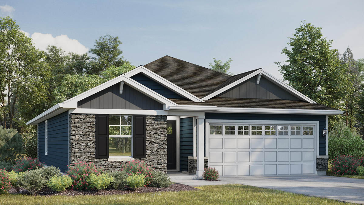 Anderson rendering D5 layout