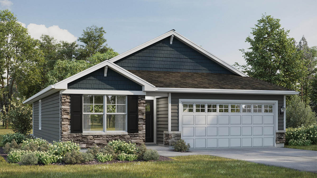 Anderson rendering C5 rendering layout