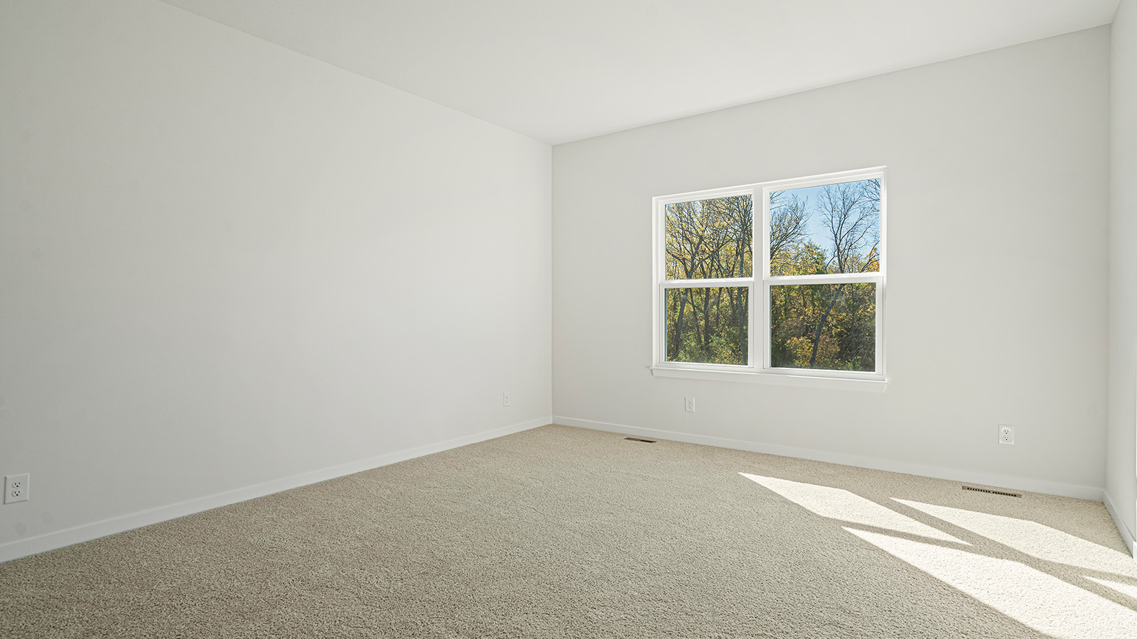 Primary carpeted bedroom with large windows