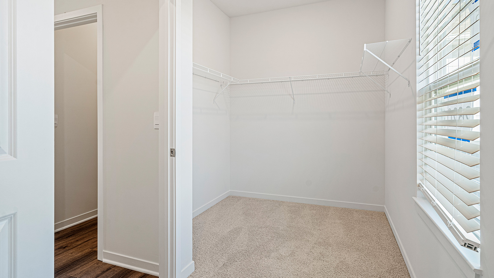 Primary bedroom walk in closet carpeted