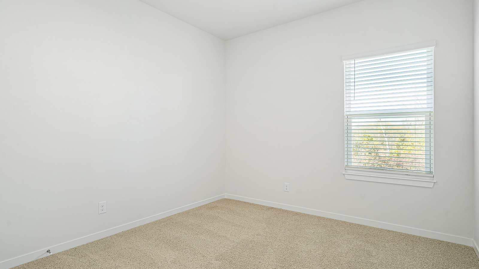 Carpeted bedroom with window