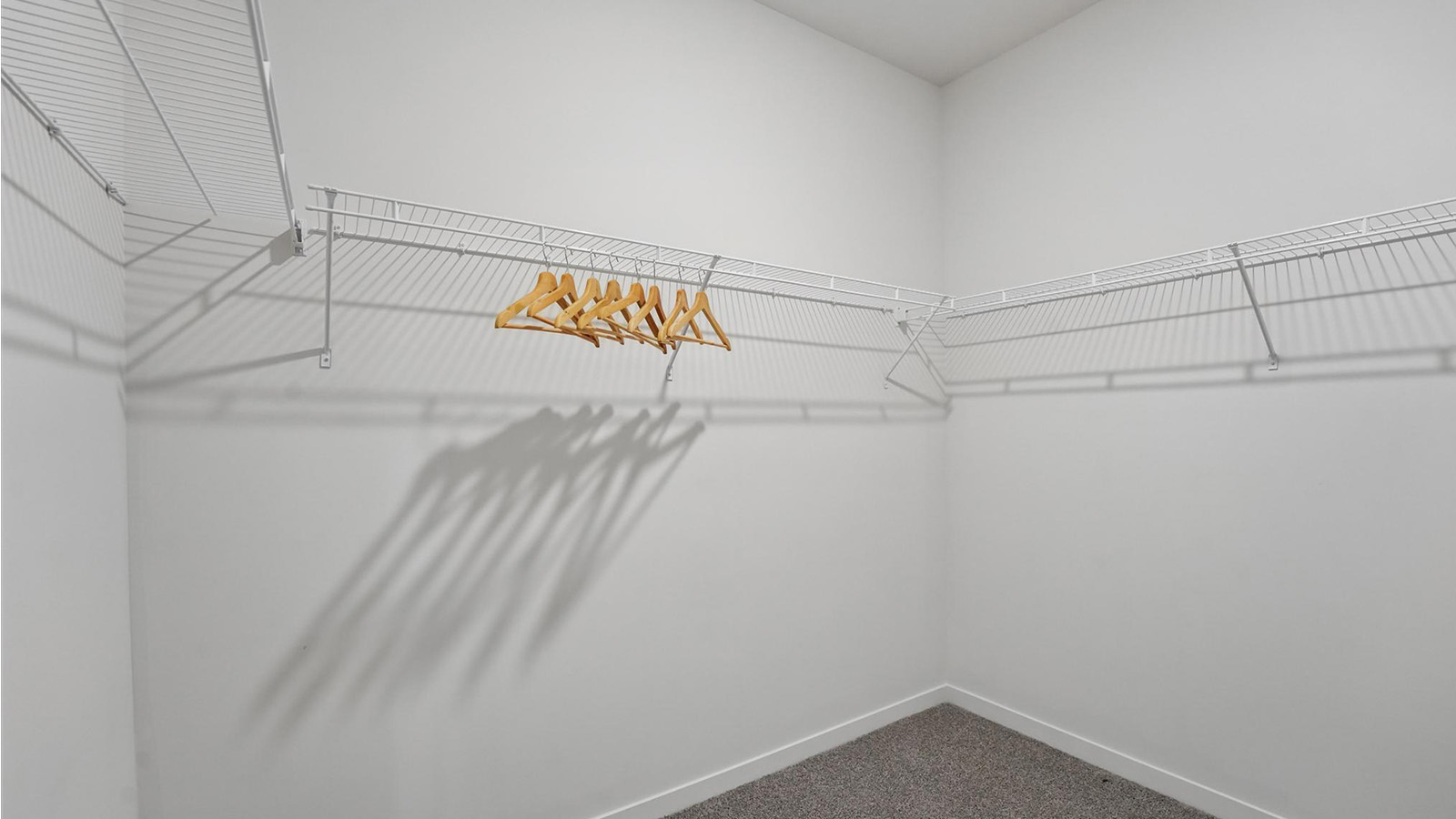 carpeted walk in closet