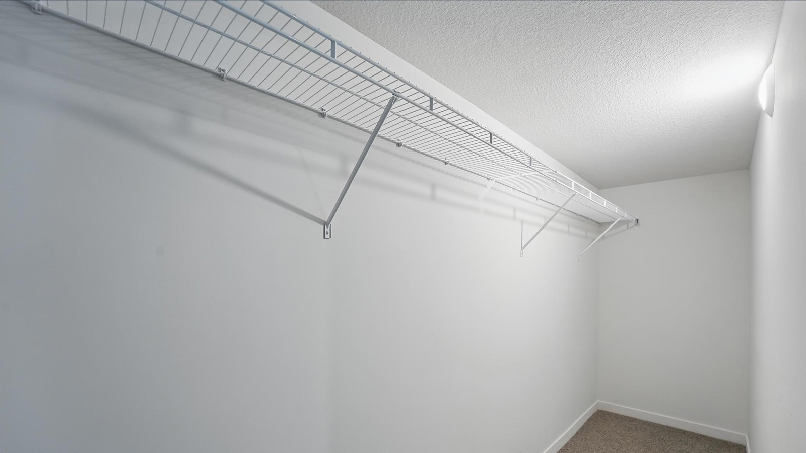 carpeted walk in closet