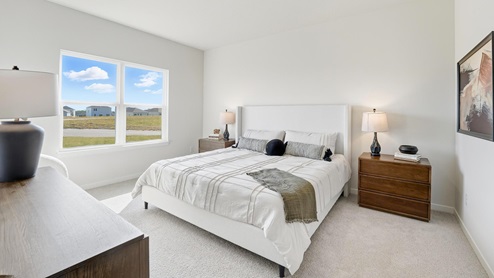 Primary bedroom with carpet, and two large windows