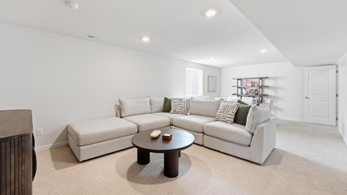 Carpeted basement flex area