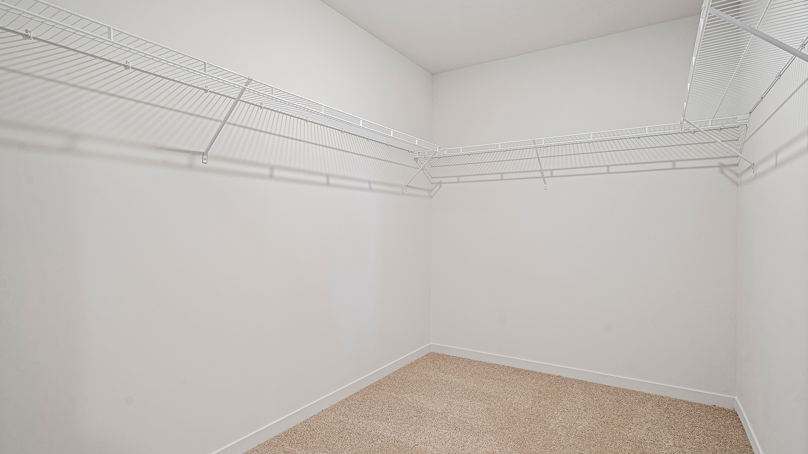 Primary Carpeted walk in closet