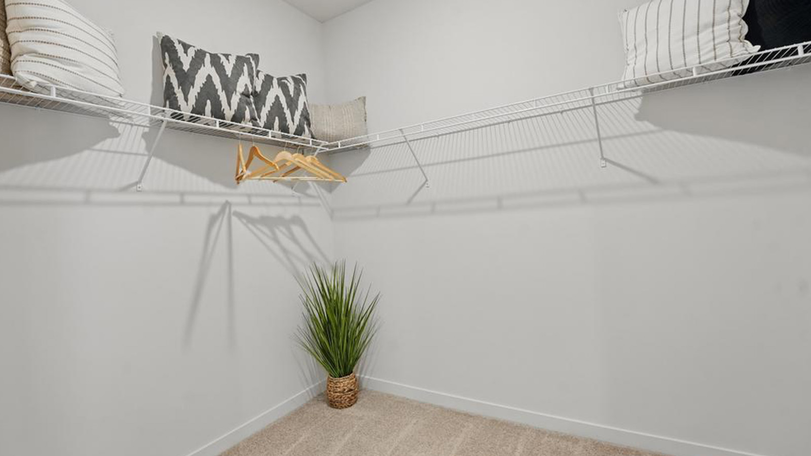 Carpeted primary walk in closet.