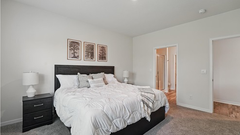 Carpeted primary bedroom with large window. New Homes in Kansas City, Missouri