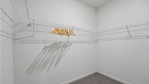 Primary carpeted walk in closet