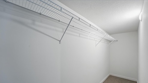 Carpeted walk in closet