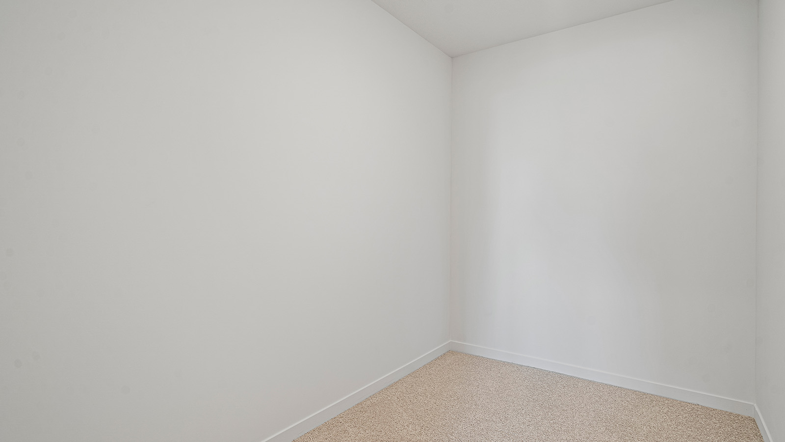 Carpeted bedroom with large window.