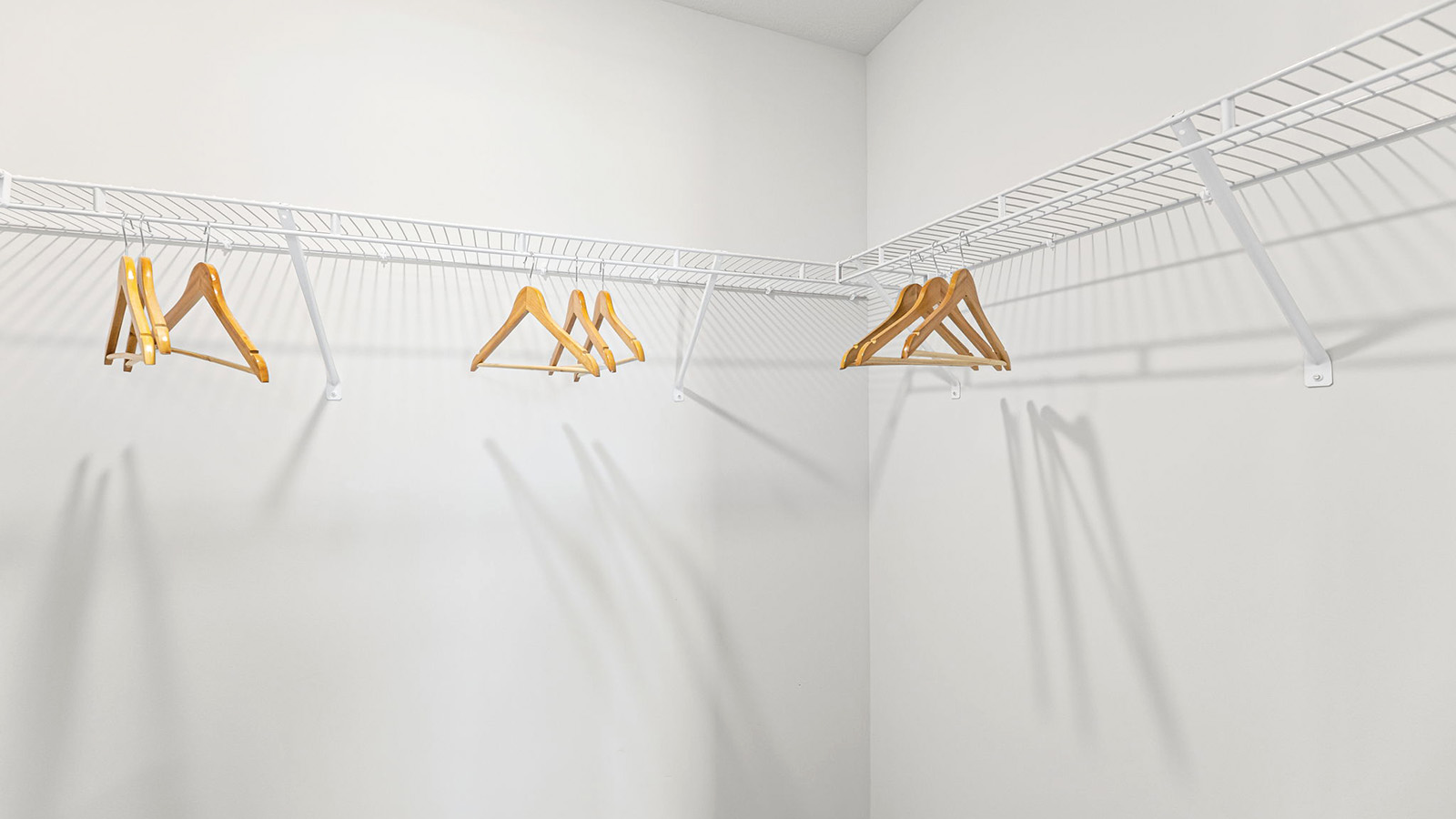 Primary carpeted walk-in closet