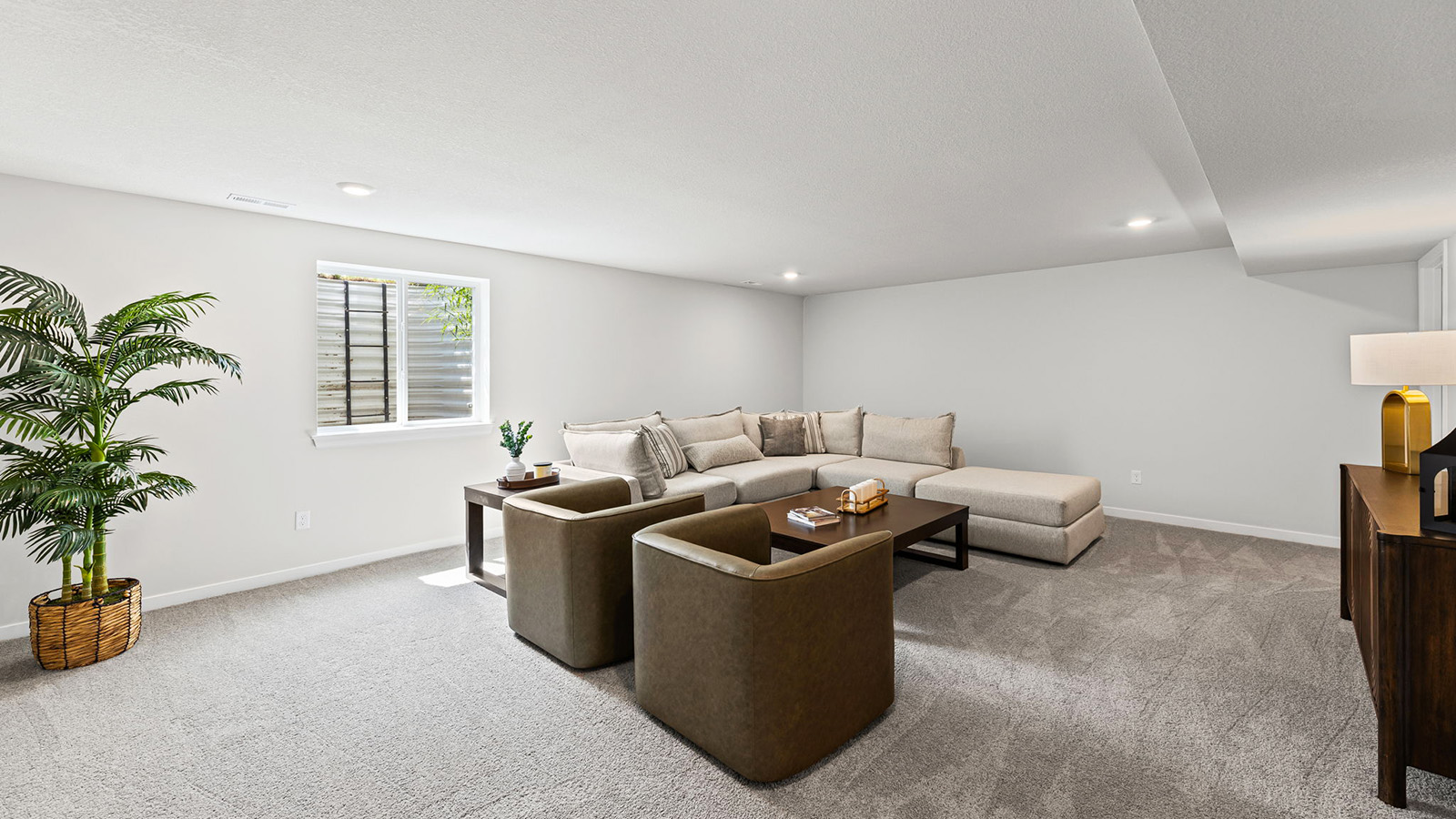Carpeted basement flex area