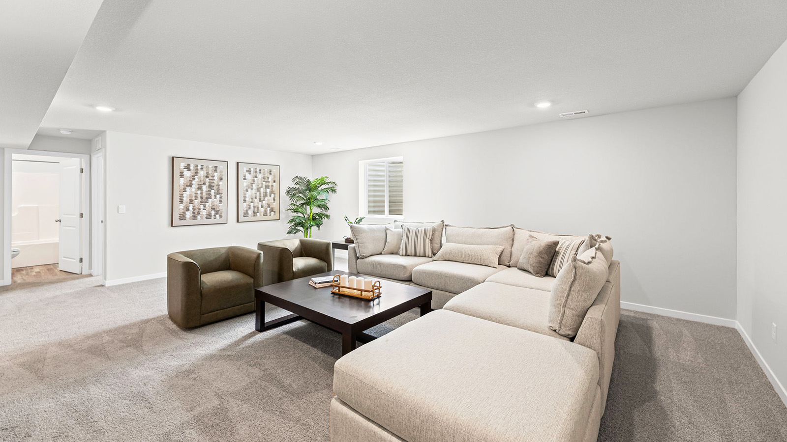 Carpeted basement flex area
