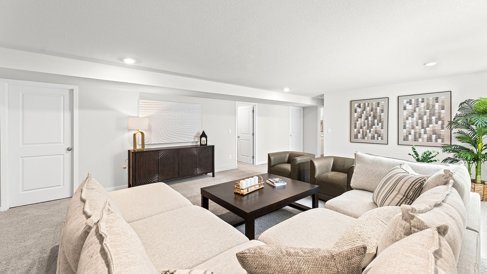 Carpeted basement flex area