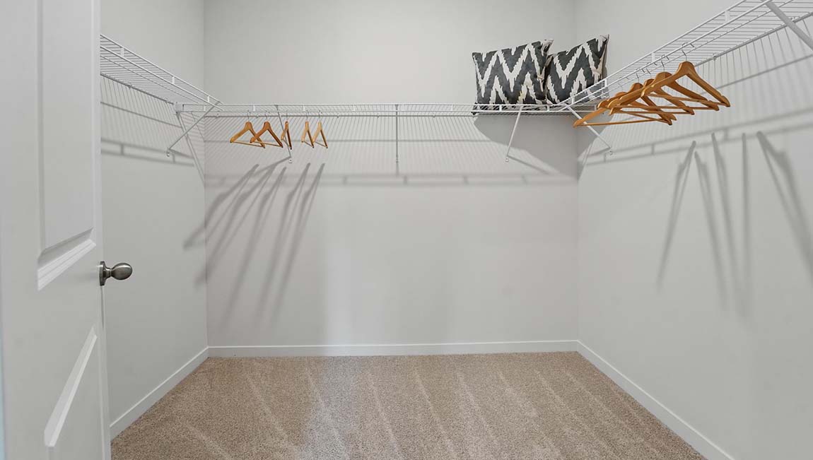 Carpeted primary walk in closet.