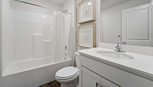 Bathroom with a bathtub shower combination