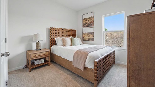 bedroom with beige carpet, grey walls and a window