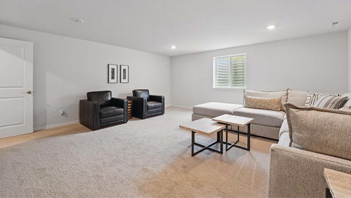 finished basement with beige carpet, grey walls and a window