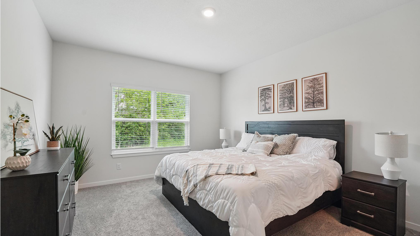 Carpeted primary bedroom with large window.