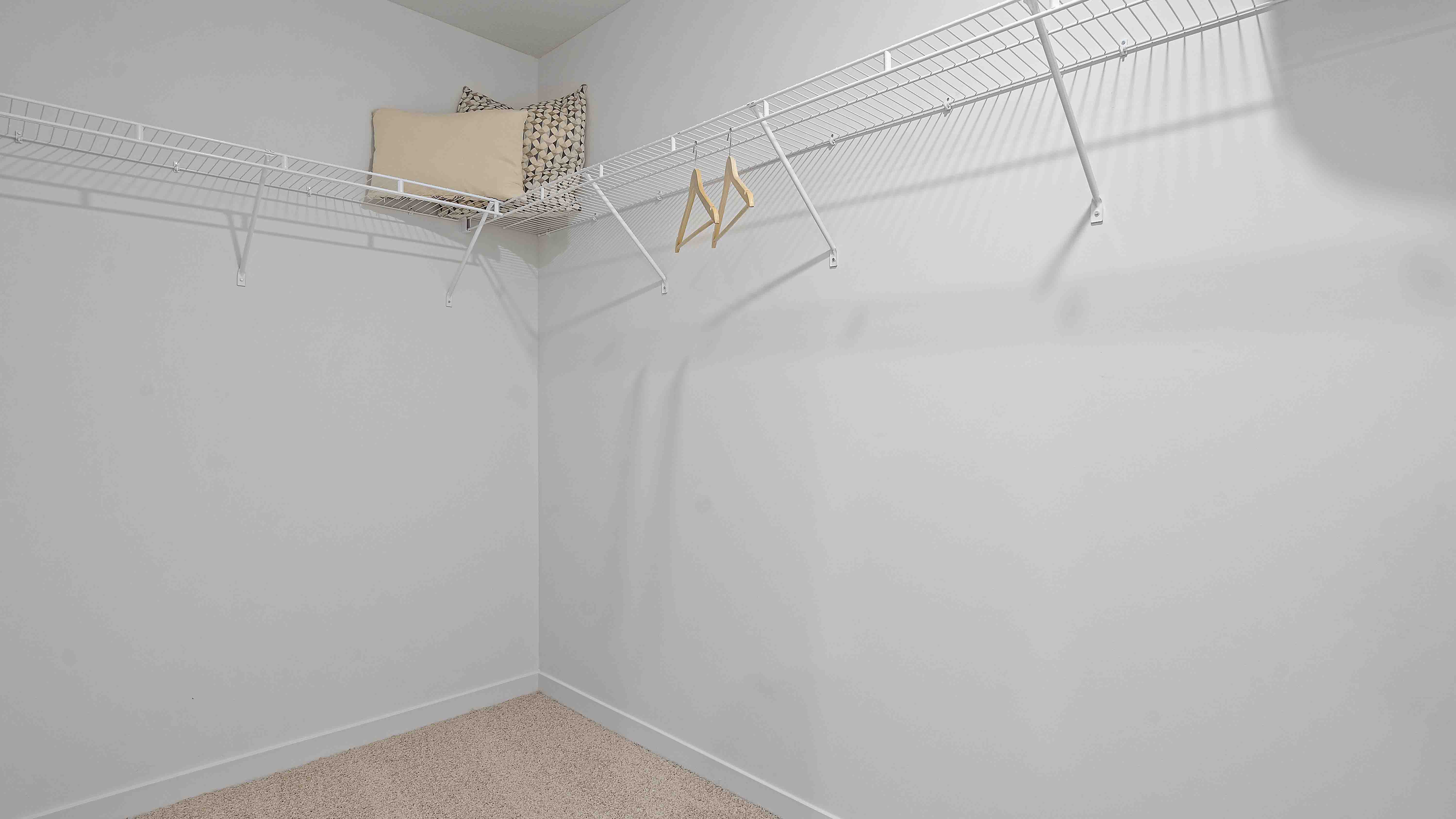 Carpeted primary walk in closet.