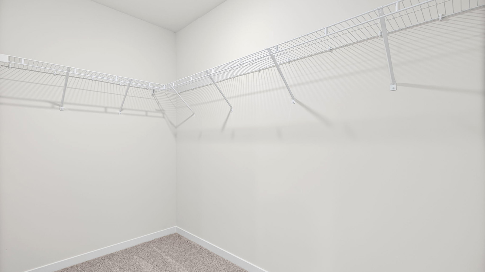 Carpeted primary walk in closet.