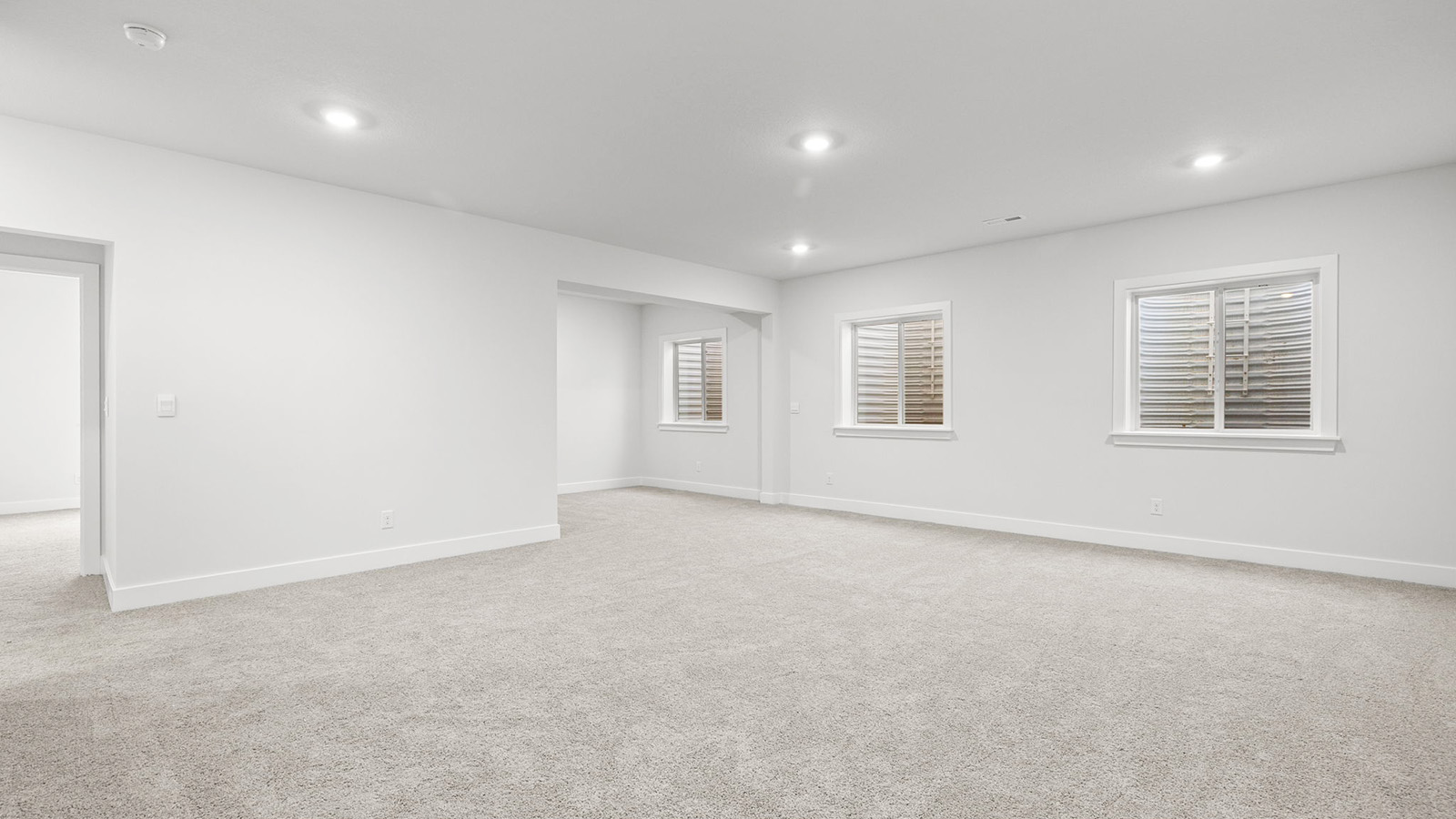 Carpeted basement flex area