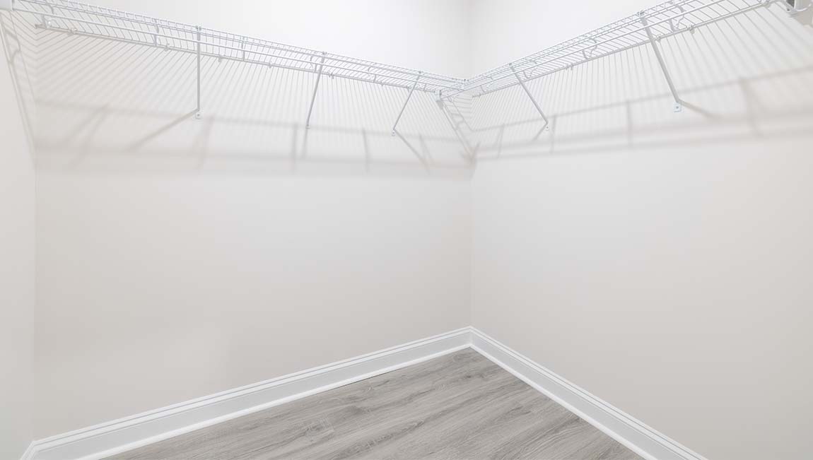 Arlington primary bedroom walk in closet with carpet