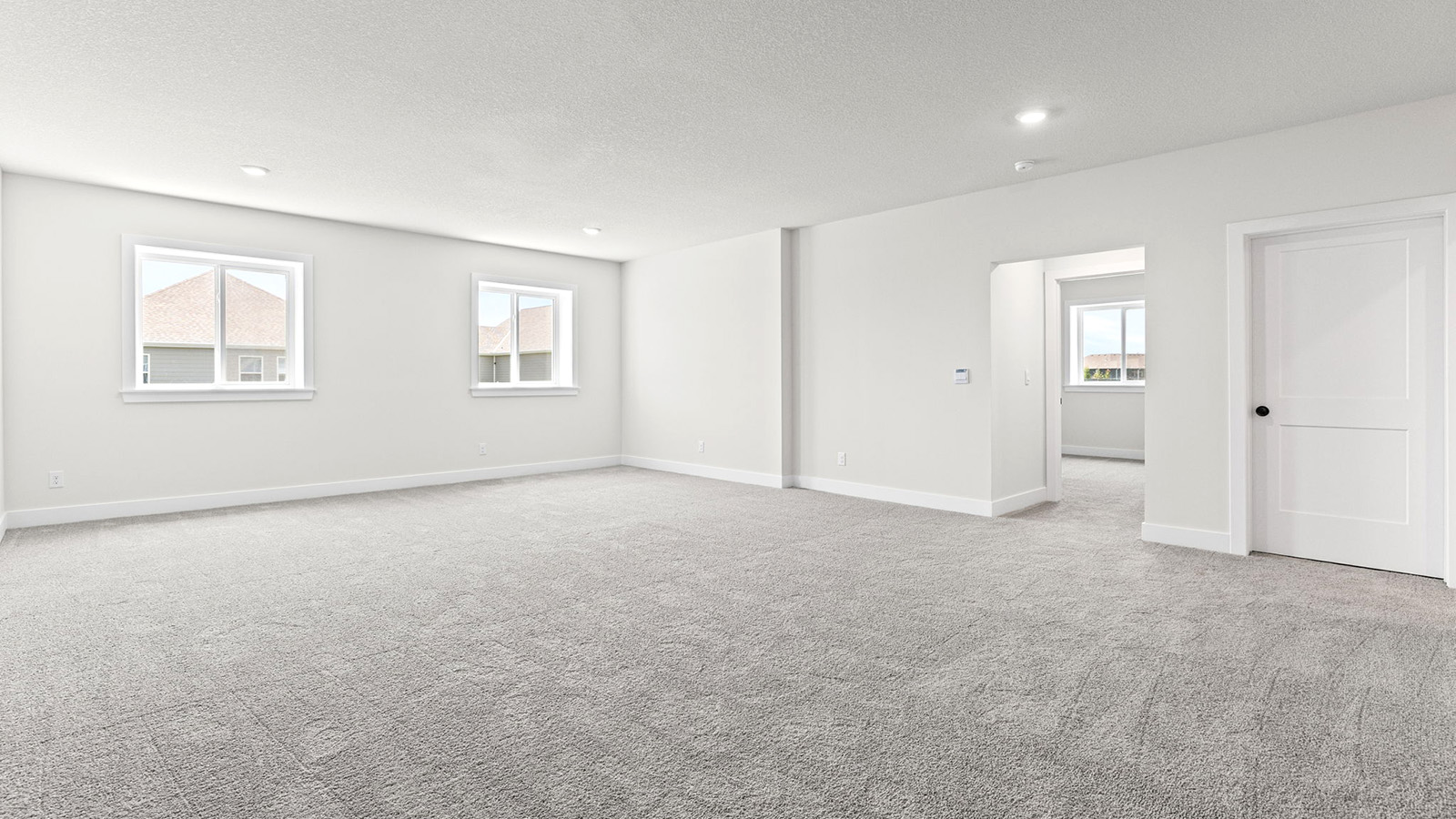 Carpeted basement flex area